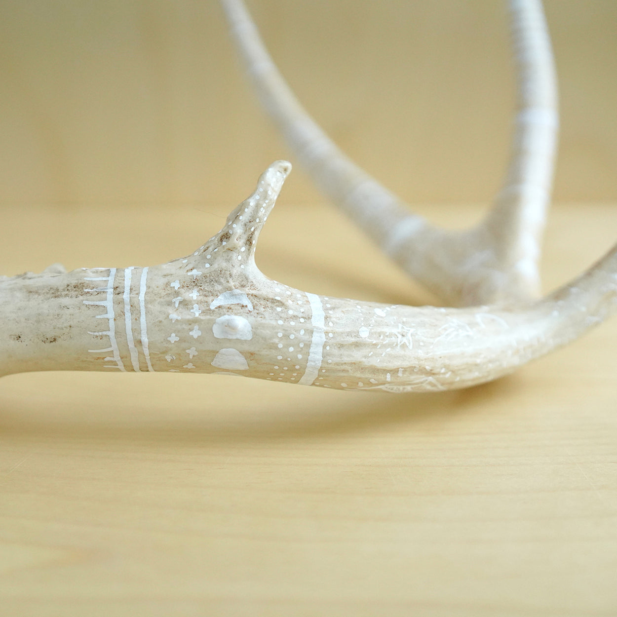 Decorated Deer Antler