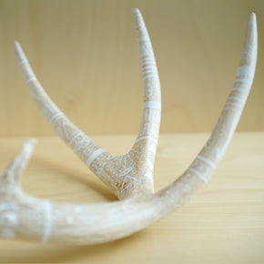 Decorated Deer Antler