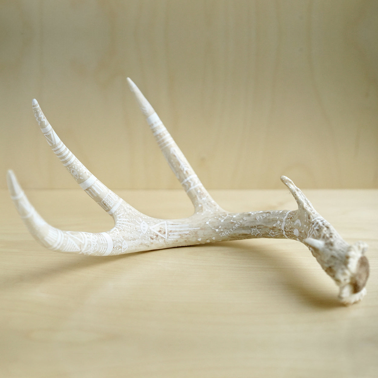 Decorated Deer Antler