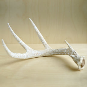 Decorated Deer Antler