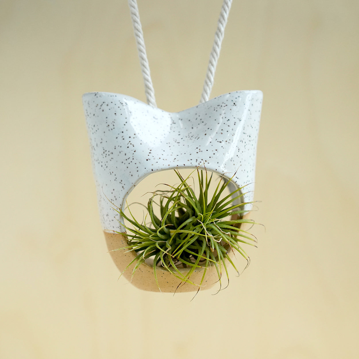 Hanging Air Planter