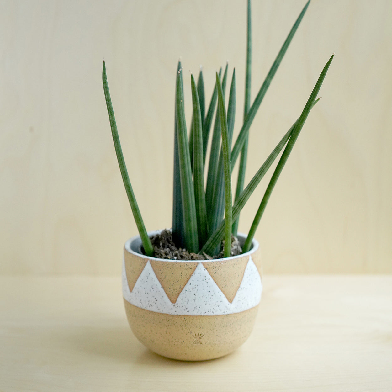 Multi Triangle Planter