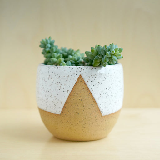 Triangle Planter